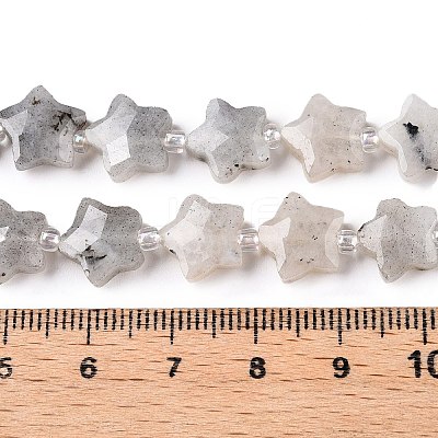 Natural Grey Labradorite Beads Strands G-T138-184-1