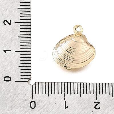 Brass Charms KK-CBA2395-09G-01-1