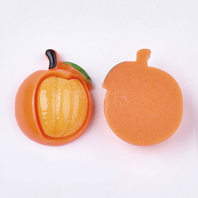 Resin Cabochons CRES-S358-12-1