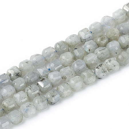 Natural Labradorite Beads Strands X-G-I270-04-1