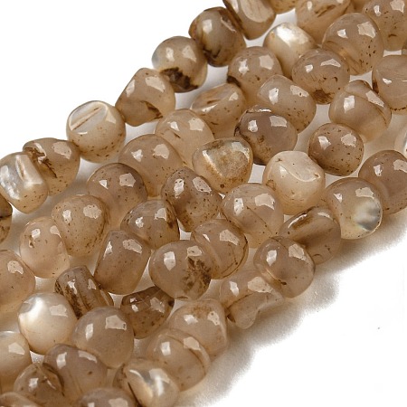 Natural White Shell Dyed Beads Strands BSHE-Z005-03A-1