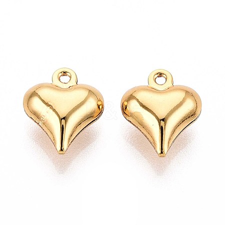304 Stainless Steel Charms STAS-N118-12G-1