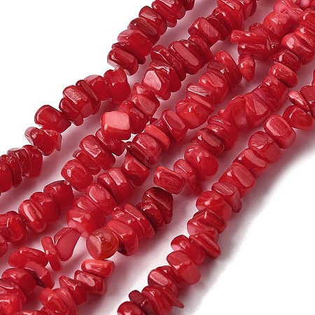 Natural Freshwater Shell Beads SHEL-B003-01C-1