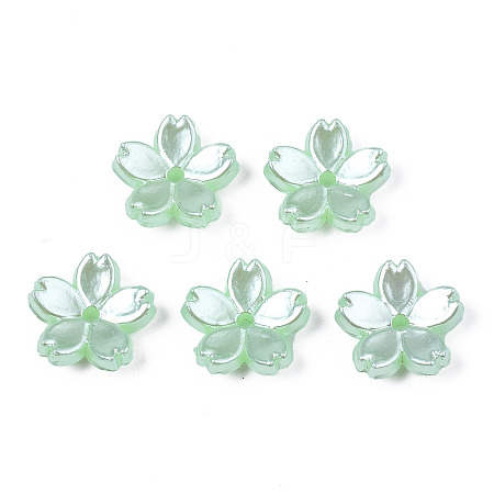 Acrylic Imitation Pearl Beads LS-OACR-N012-002F-1