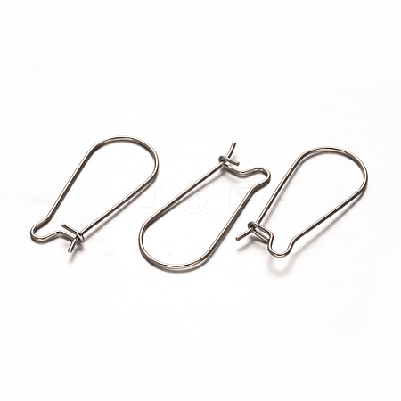 304 Stainless Steel Hoop Earrings X-STAS-D111-49-1