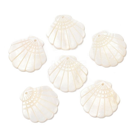 Natural Freshwater Shell Pendants X-SHEL-F007-20-1