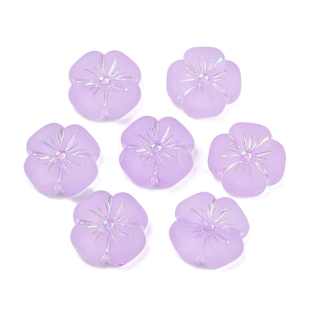 Frosted Transparent Acrylic Beads OACR-P029-19B-04-1