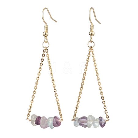 304 Stainless Steel with Natural Fluorite Dangle Earrings EJEW-JE06010-07-1