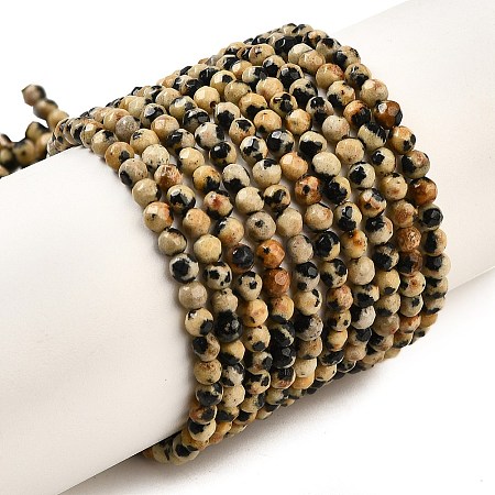 Natural Dalmatian Jasper Beads Strands G-Z068-B07-01-1