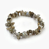 Natural Labradorite Beads Stretch Bracelets BJEW-JB03860-08-1