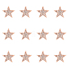 SUPERFINDINGS 12Pcs Star Brooch Pin JEWB-FH0001-43-1