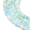 Handmade Lampwork Beads Strands LAMP-Q037-02A-06-3