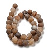 Natural Weathered Agate Beads Strands G-P538-A01-06-3
