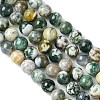 Natural Tree Agate Round Gemstone Beads Strands G-R255-8mm-3