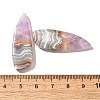 Natural Amethyst Lace Agate Pendants G-A244-07D-3