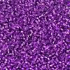 MIYUKI Delica Beads X-SEED-J020-DB1345-3