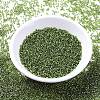 MIYUKI Delica Beads LS-X-SEED-J020-DB1207-2