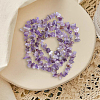 2 Strands Natural Amethyst Chip Beads Strands G-PA0001-57-7