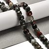 Natural African Bloodstone Beads Strands G-H078-C26-01-2