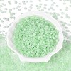 Baking Paint Glass Seed Beads GLAA-T023-43B-1