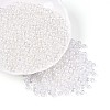 Transparent Glass Seed Beads SEED-N007-33A-01-2
