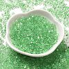 Glass Seed Beads SEED-K009-08B-07-2