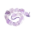 Natural Amethyst Beads Strands G-I283-E03-2