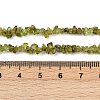 Natural Peridot Beads Strands G-P332-48-02-4