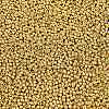 11/0 FGB Grade A Dyed Glass Seed Beads X-SEED-N001-C-0561-3