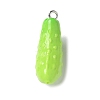 Resin Iron Pendants LS-RESI-D280-12-1