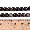 Natural Biotite Beads Strands G-Q616-01B-5