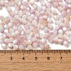 Baking Painted Glass Seed Beads SEED-C004-03C-4