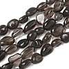 Natural Obsidian Beads Strands LS-G-P497-01A-15-2