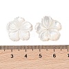 Natural White Shell Beads SSHEL-C012-23B-3