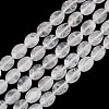 Natural Quartz Crystal Beads Strands G-H349-A01-23-2