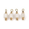 Natural Freshwater Shell Pendants SH-CBA5EEC-14G-1