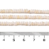 Natural Freshwater Shell Beads Strands SHEL-P017-01B-02-4