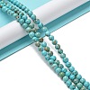 Natural Howlite Beads Strands G-E604-B03-A-2