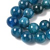 Round Natural Apatite Beads Strands G-K068-04-10mm-2