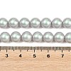 Frosted Glass Pearl Beads Strands GLAA-A044-08A-14-4