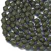 Natural Labradorite Beads Strands G-K389-D24-01-3