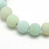 Natural Frosted Flower Amazonite Round Bead Strands G-M064-6mm-07-2