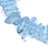Natural Quartz Crystal Points Beads Strands G-K181-B06-01-3