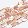 Natural Sea Shell Beads Strands SSHEL-L016-14-1