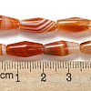 Natural Red Striped Agate/Banded Agate Beads Strands G-A223-A05-01-5