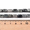 Natural Eagle Eye Stone Beads Strands G-G980-43-5