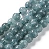 Dyed Natural Malaysia Jade Beads Strands G-G021-01A-01-1