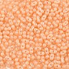 Baking Paint Glass Seed Beads SEED-L011-09A-12-3