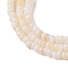 Natural Freshwater Shell Beads Strands X-SHEL-P017-01B-02-3