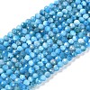 Natural Apatite Beads Strands X-G-P542-A06-02-1